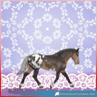 Horse Color:Silver Smoky Black Tobiano Blanket