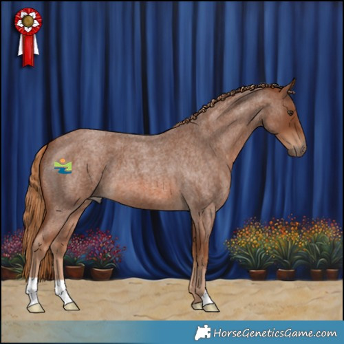 Horse Color:Red Roan 