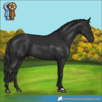 Horse Color:Liver Chestnut Rabicano