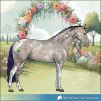 Horse Color:Painted Bay Ice Dun Tobiano Rabicano