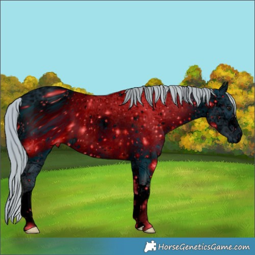 Horse Color:ERROR: UNKNOWN ANOMALY