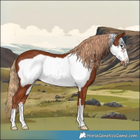 Horse Color:Chestnut Frame