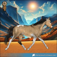 Horse Color:Gray Buckskin Dun Tobiano 