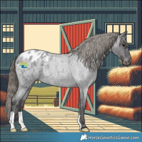 Horse Color:Smoky Blue Roan Appaloosa Rabicano