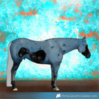 Horse Color:ERROR: UNKNOWN ANOMALY