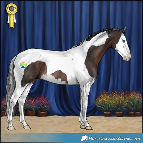 Horse Color:Brown Splash Tobiano Rabicano 