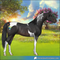 Horse Color:Brown Tobiano Rabicano