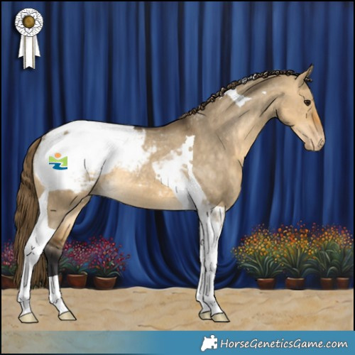 Horse Color:Buckskin Dun Tobiano Appaloosa Rabicano 