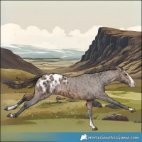 Horse Color:Bay Sabino Splash Blanket  and Bay Dun Sabino Splash Blanket 