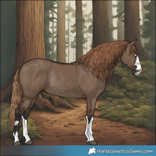 Horse Color:Liver Red Dun Rabicano 