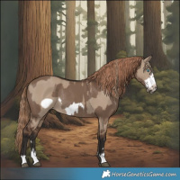 Horse Color:Liver Red Dun Frame Rabicano and Liver Red Dun Frame Rabicano