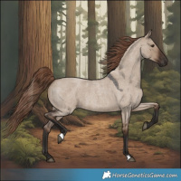 Horse Color:Liver Red Dun Roan 