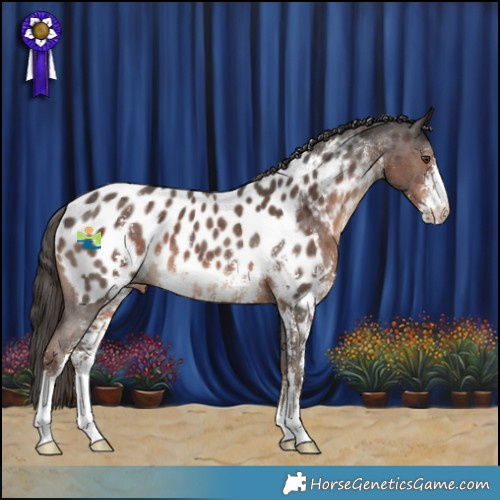Horse Color:Liver Chestnut Sabino Blanket 