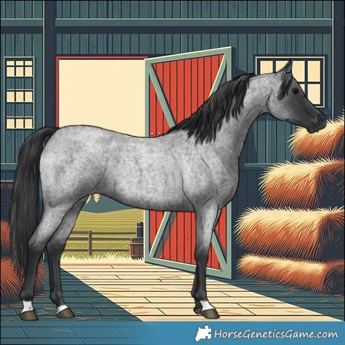 Horse Color:Blue Roan Rabicano 