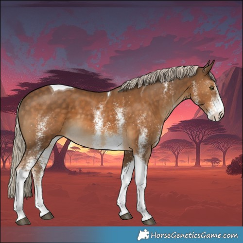 Horse Color:White Spotted Chocolate Palomino Tobiano 