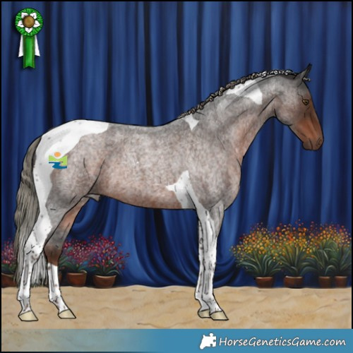 Horse Color:Liver Red Roan Mushroom Tobiano 