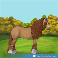 Horse Color:Gray Red Dun 