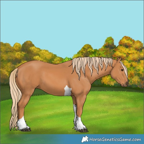 Horse Color:Chestnut Tobiano 