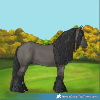 Horse Color:Grullo 