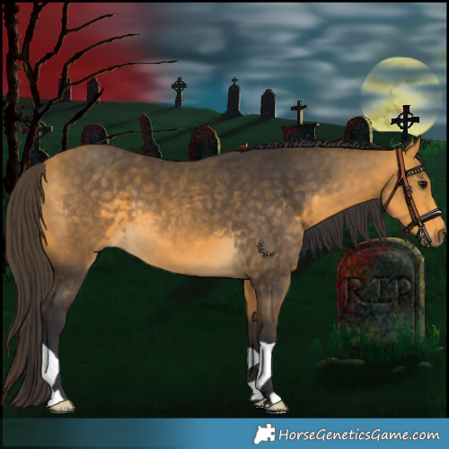 Horse Color:Buckskin 