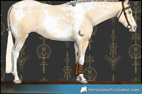 Horse Color:Palomino Pearl Tobiano