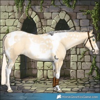 Horse Color:Palomino Pearl Tobiano 