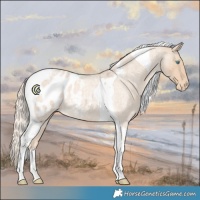 Horse Color:Cremello Roan Tobiano Blanket