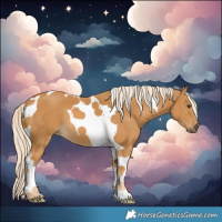 Horse Color:Palomino Tobiano 