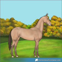 Horse Color:Amber Champagne 