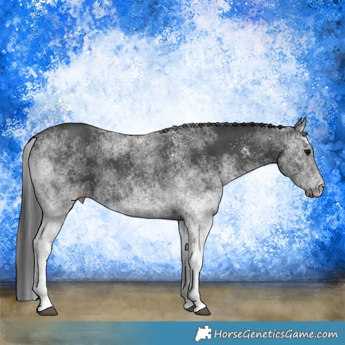 Horse Color:White Spotted Black 