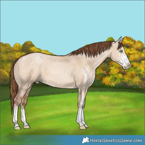 Horse Color:Brown Pearl Dun Sabino 