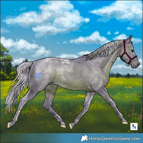 Horse Color:Watercolor Silver Black Ice Tobiano 