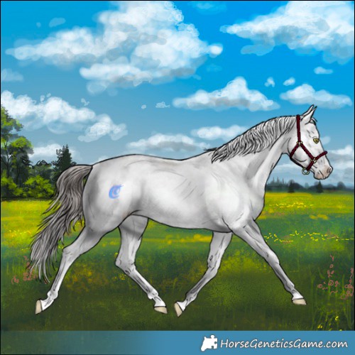 Horse Color:Sable Champagne Sabino 