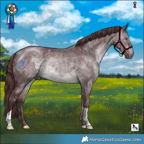 Horse Color:Chocolate Brown Chinchilla 