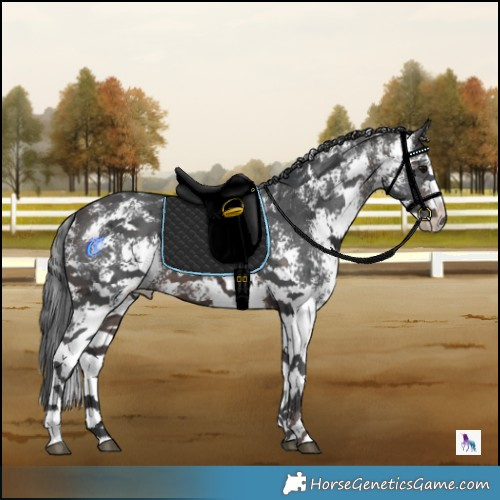 Horse Color:Brown Merle Sabino 