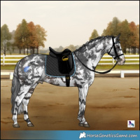 Horse Color:Brown Merle Sabino 
