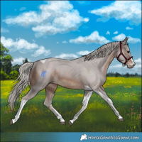 Horse Color:Silver Brown Tobiano