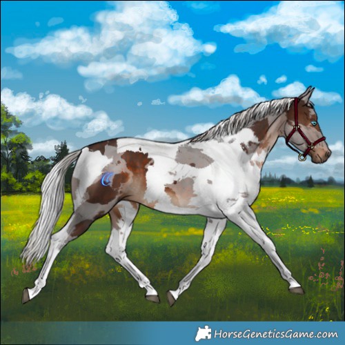 Horse Color:Silver Brown Merle Tobiano 