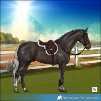 Horse Color:Silver Brown Tobiano 