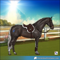 Horse Color:Silver Brown Tobiano