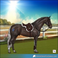 Horse Color:Silver Brown Tobiano 
