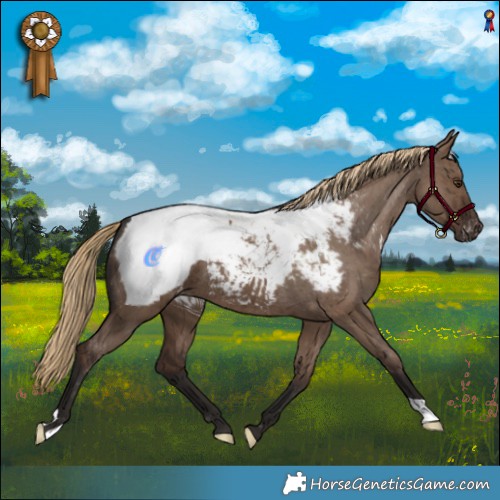 Horse Color:Liver Red Dun Snowcap Brindle 