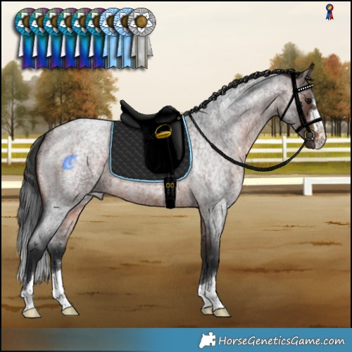 Horse Color:Brown Roan 