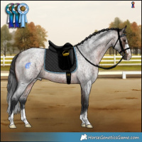 Horse Color:Brown Roan