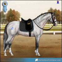 Horse Color:Brown Roan 