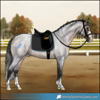 Horse Color:Brown Roan 