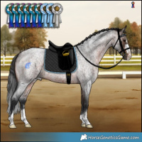 Horse Color:Brown Roan 