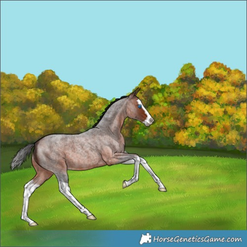 E0 MGThe Showrunner 12G