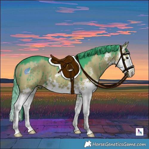 Horse Color:Watercolor Grullo Sabino Splash Brindle