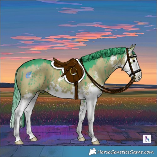 Horse Color:Watercolor Grullo Sabino Splash Brindle 